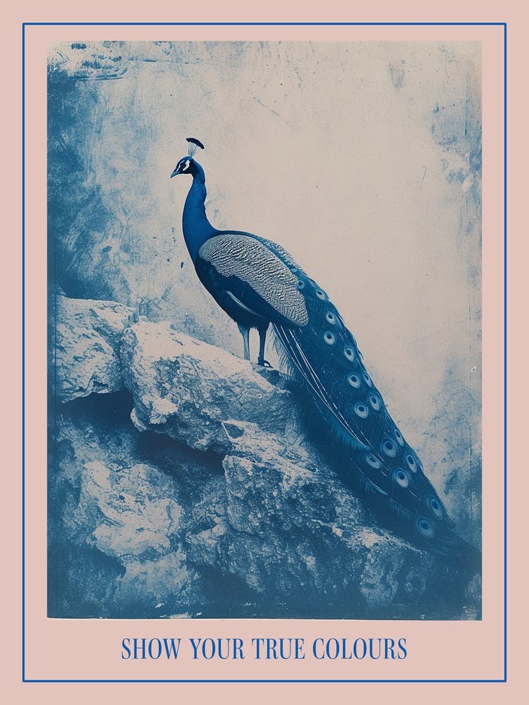 Navy Blue Peacock Portrait Cyanotype Inspired 2 Poster