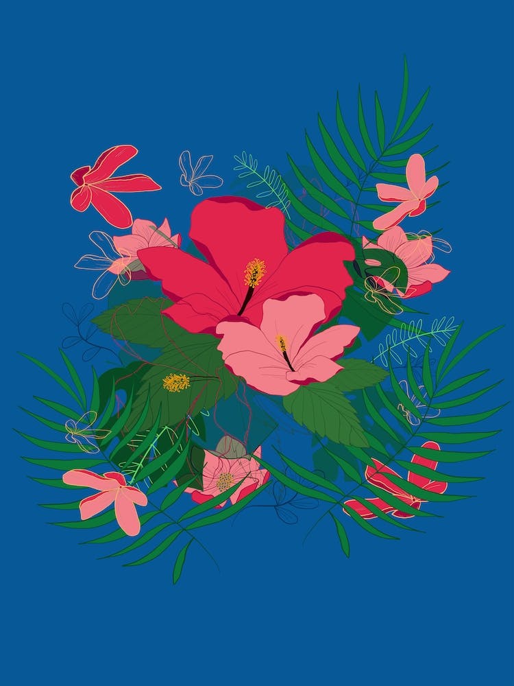 Hibiscus Says