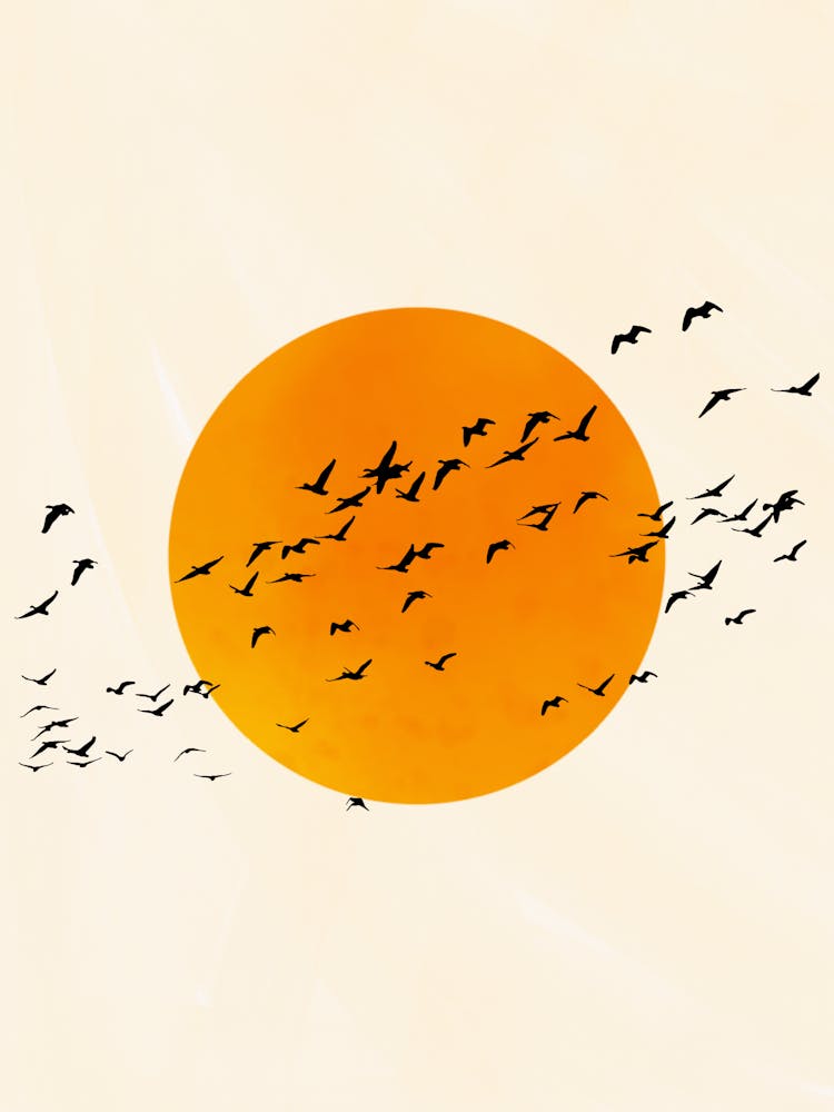 Flock Of Birds In The Sky