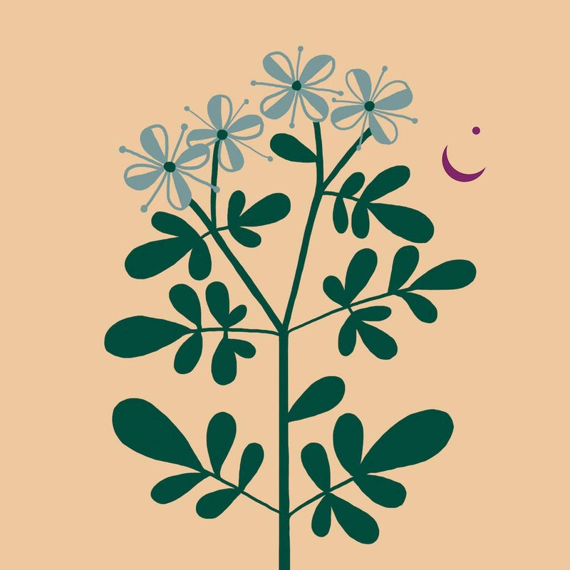 Herb Of Grace Square