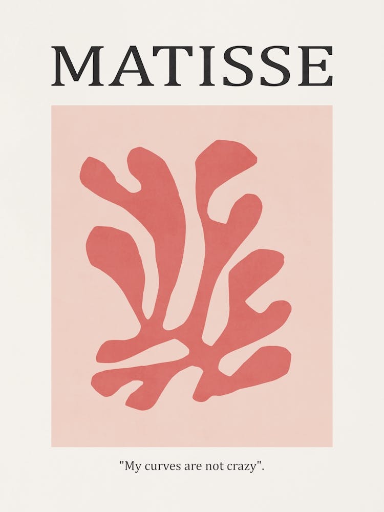 Inspired by Matisse - Red Flower 01