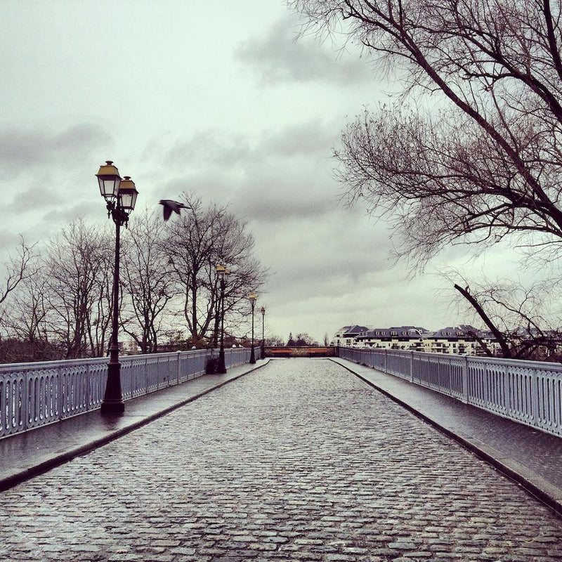 Winter Solitude In Poissy Square