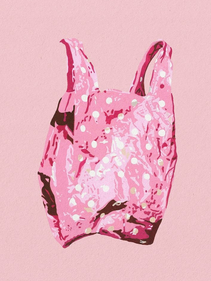 The Pink Bag