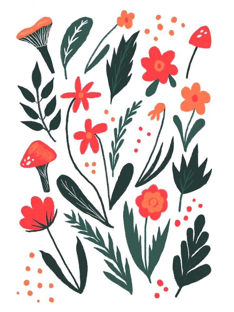 Mushrooms and Wild Flowers