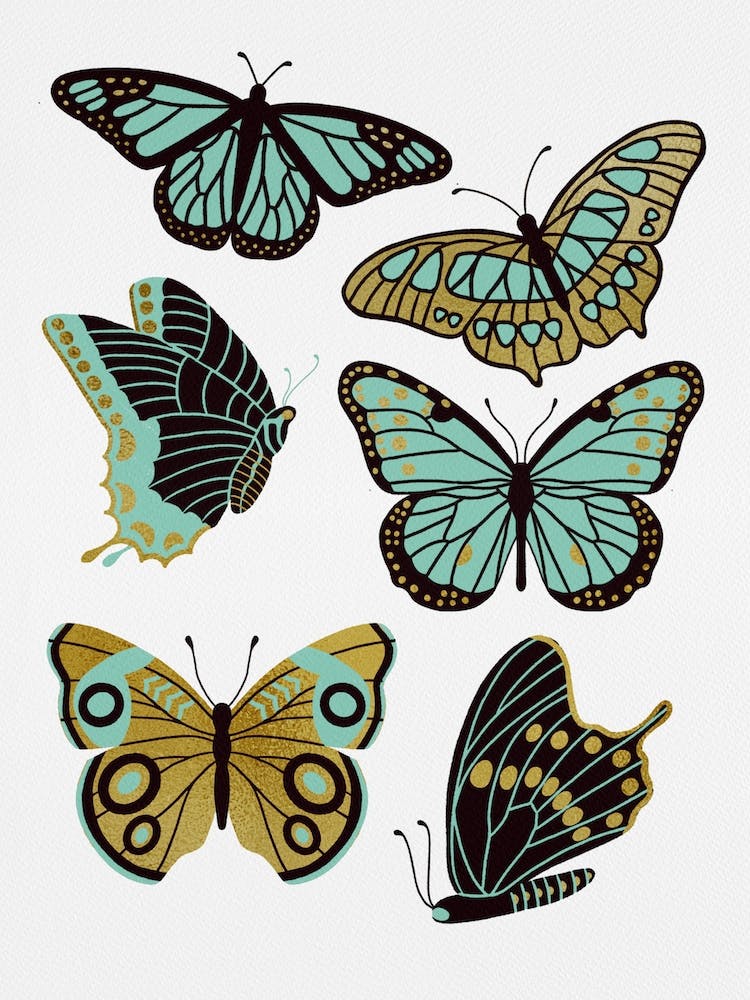 Texas Butterflies   Mint And Gold