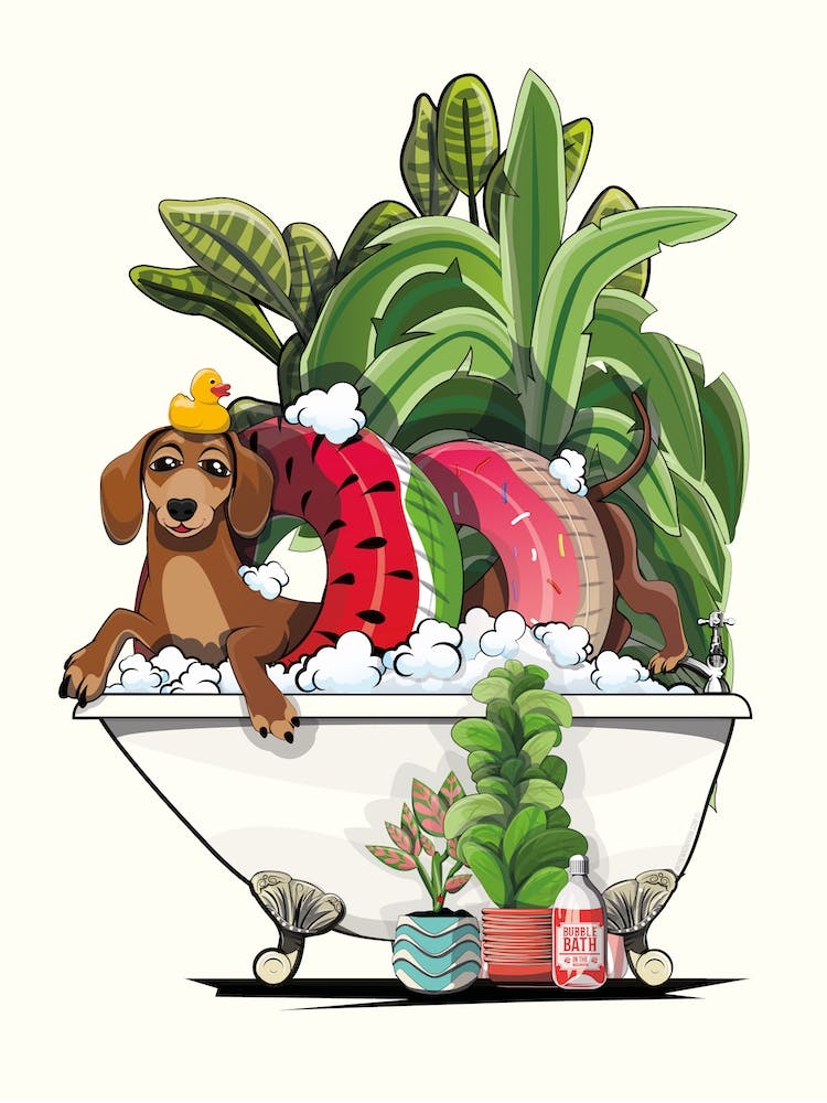 Sausage Dog In The Bath