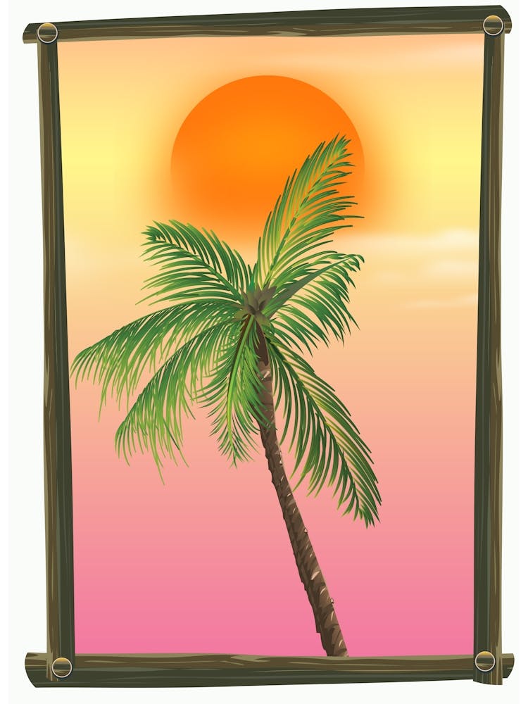 Palm Tree At Sunset