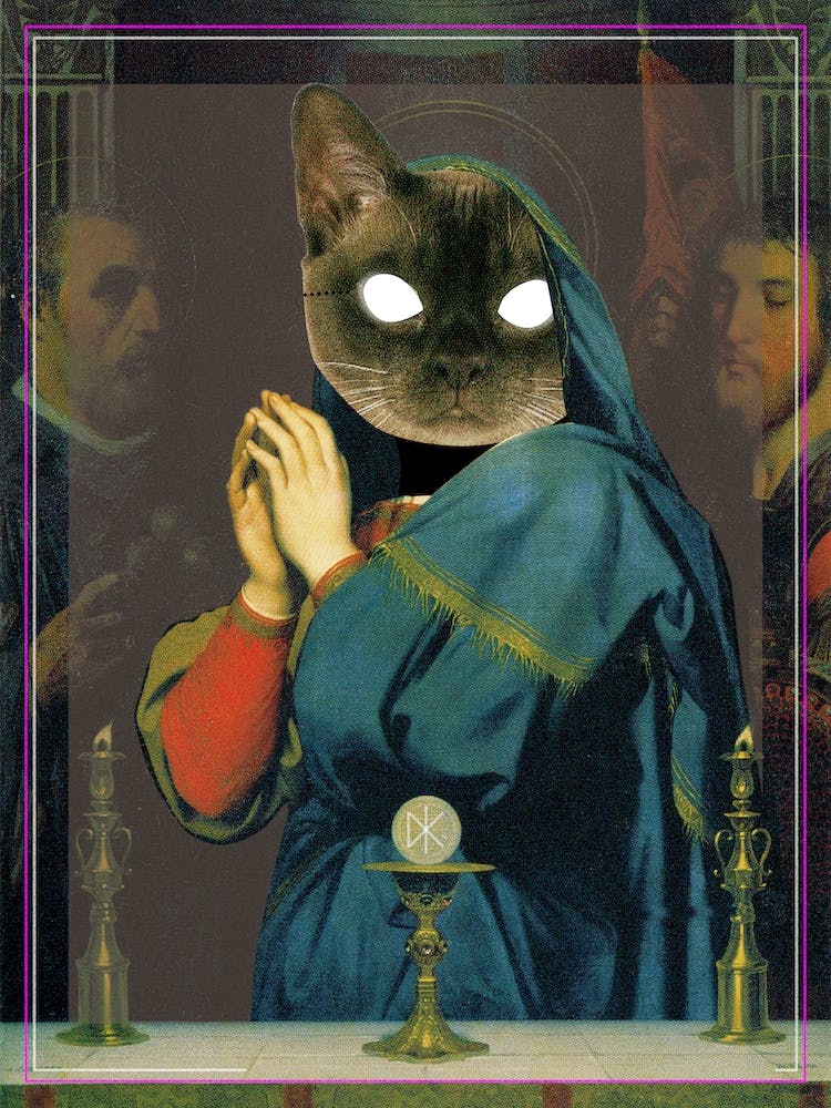 Catomania, Holy Sh*T