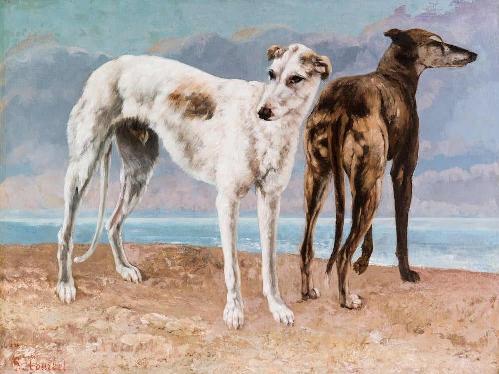 Greyhounds On The Beach