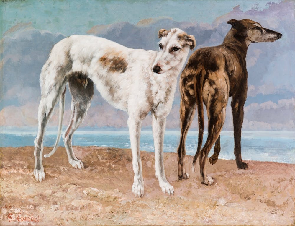 Greyhounds On The Beach