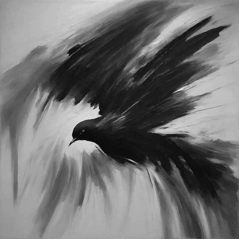 Black Bird