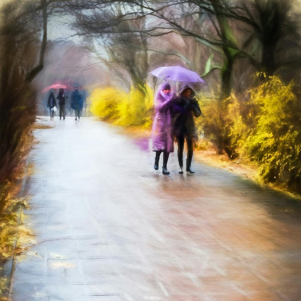 Shelter