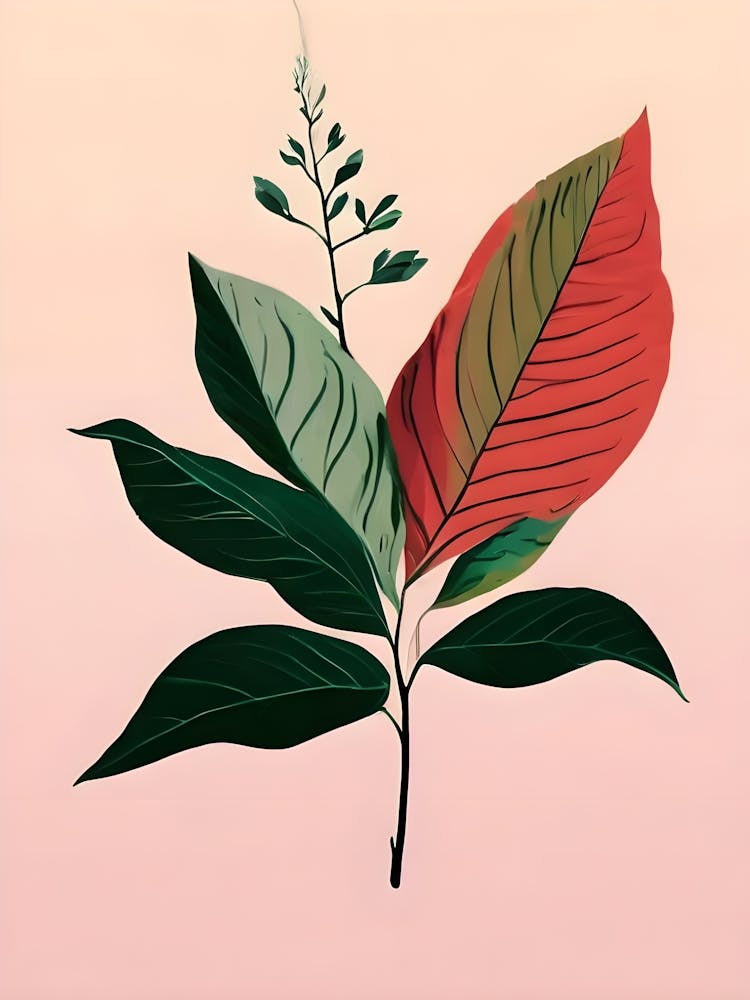 Leaf On A Pink Background