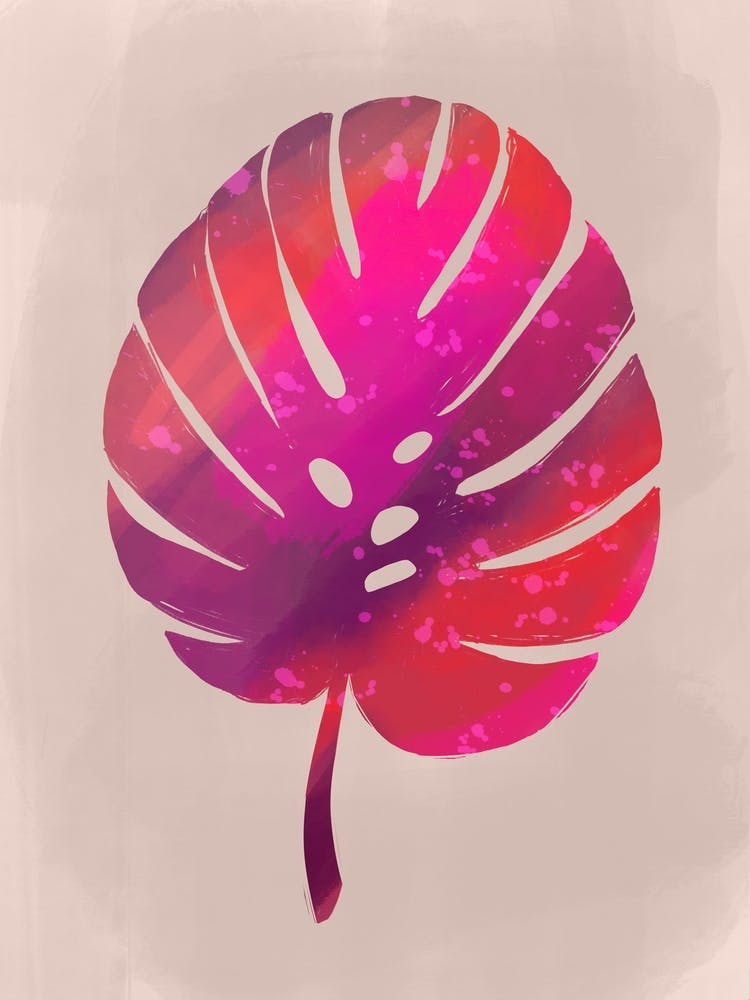 Rosa Monstera
