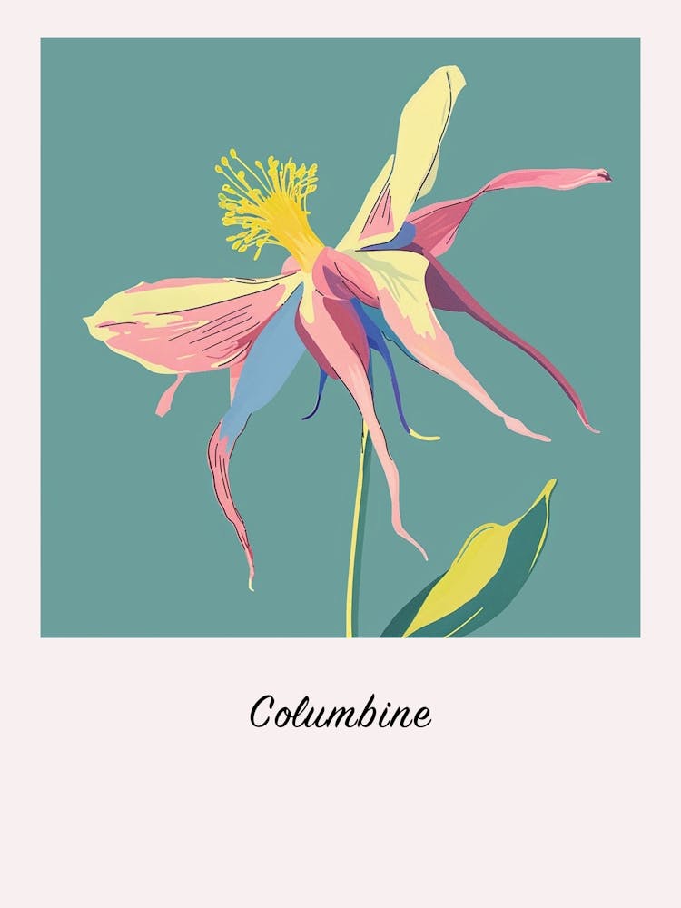 Columbine 2 Square Flower Illustration Poster