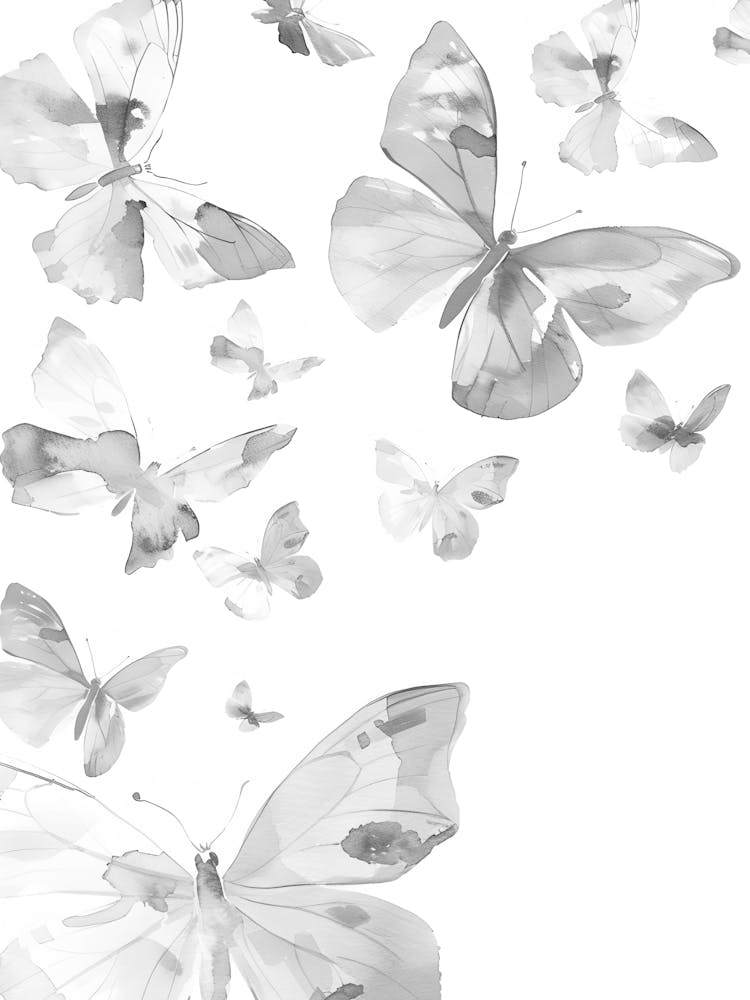 Butterflies In The Sky