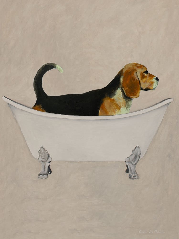 Beagle In Bathtub