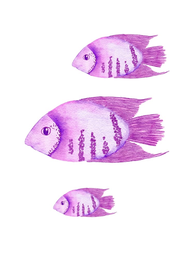Watercolor Fishes