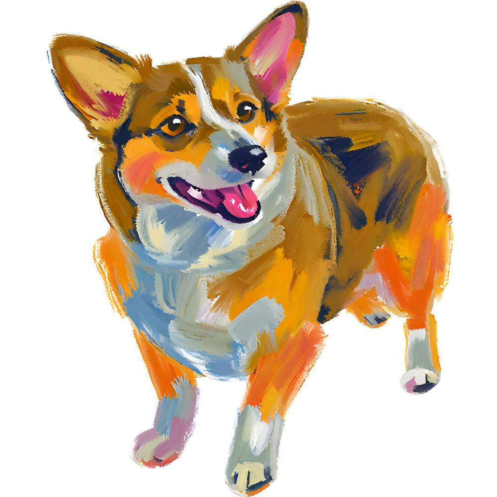 Pembroke Welsh Corgi 01