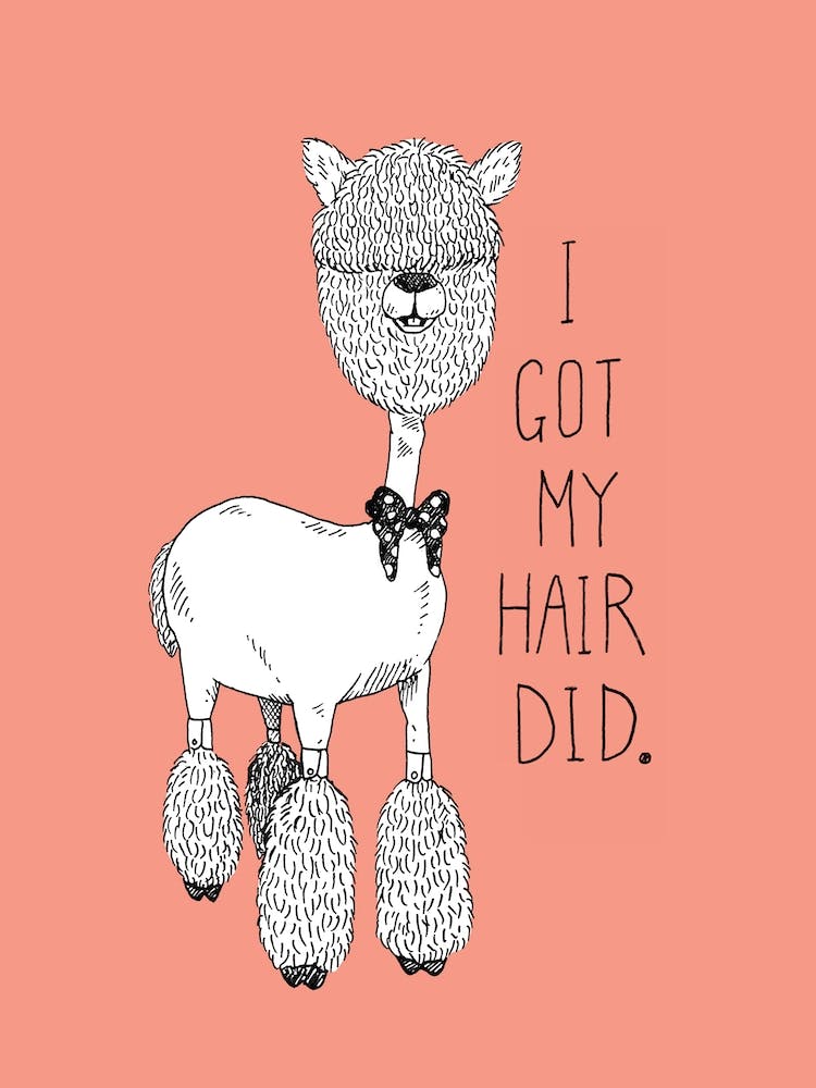I Got My Hair Did