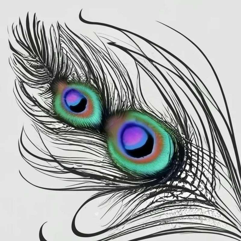 Peacock Feather 1