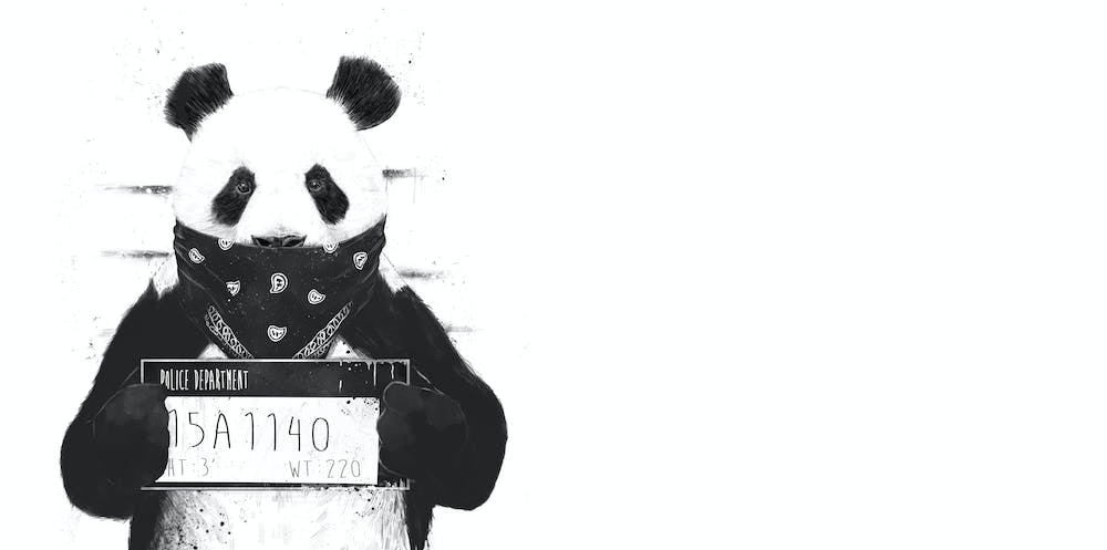 Bad Panda