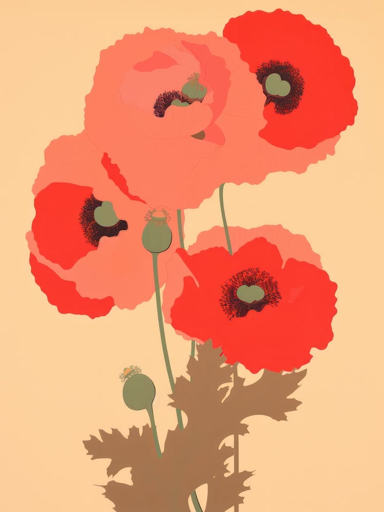 Poppies Flower Big Bold Illustration 1