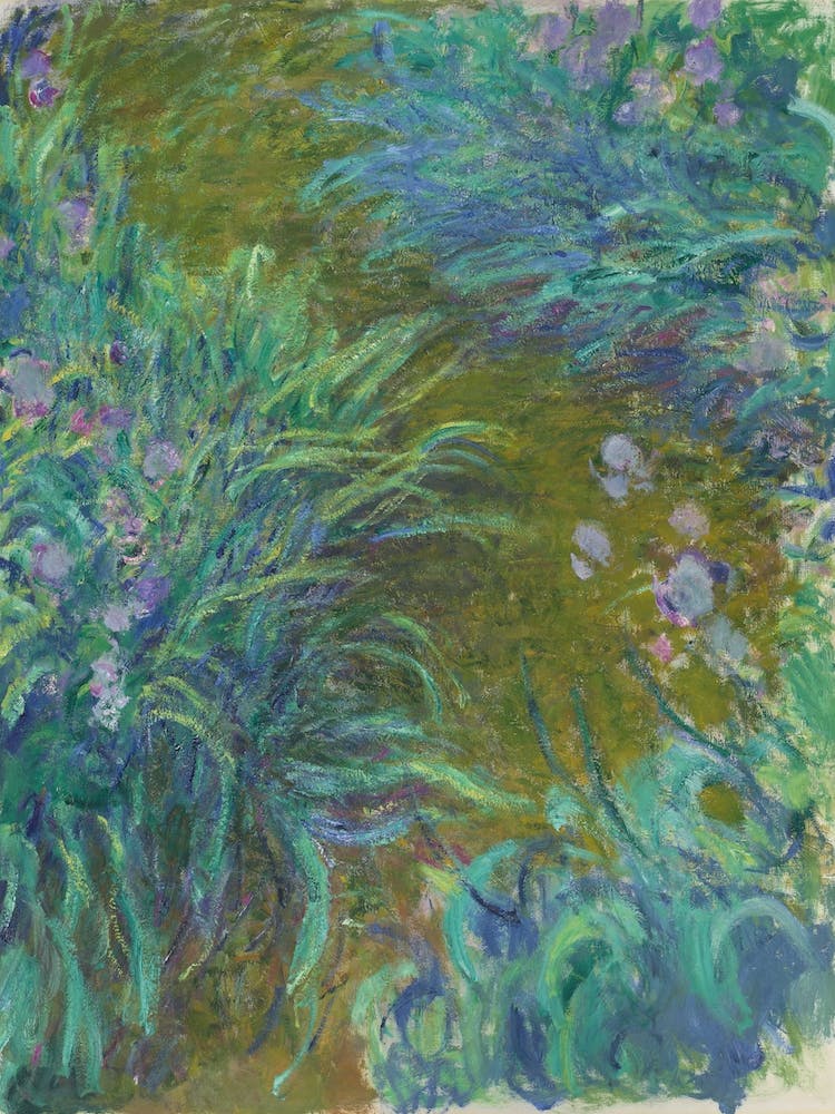 Irises, Claude Monet