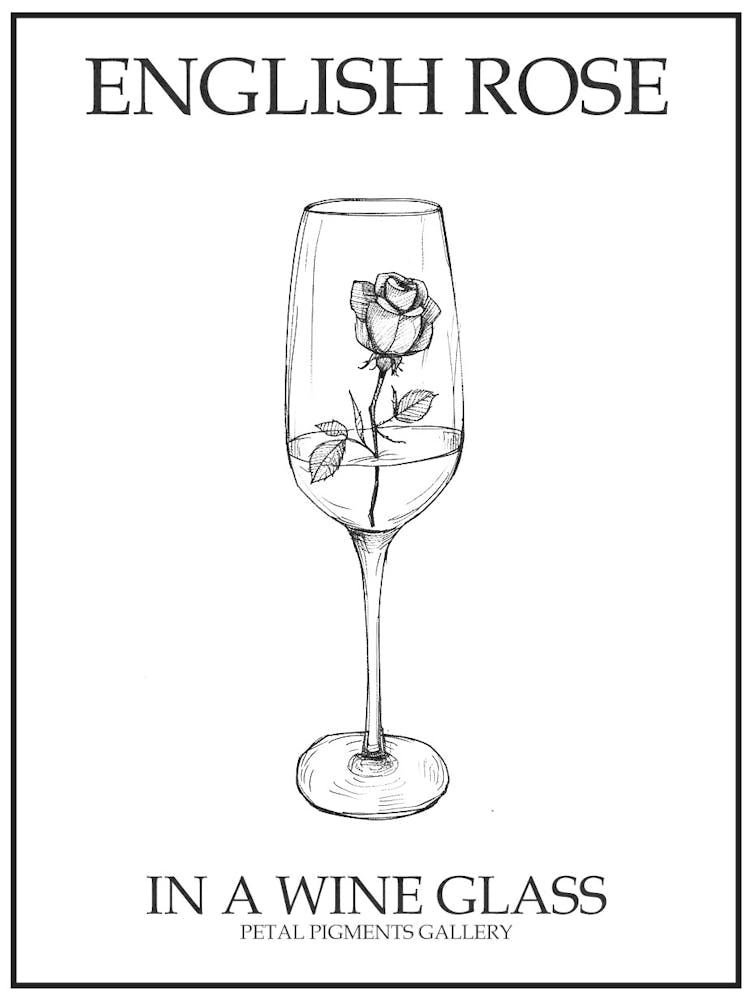 Englische Rose In Einem Weinglas Strichzeichnung 3 Poster