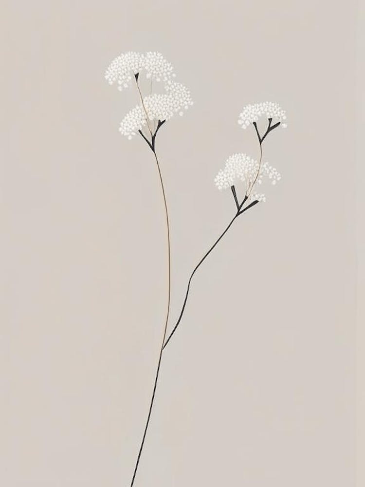 Baby's Breath Wildflower Simplicity