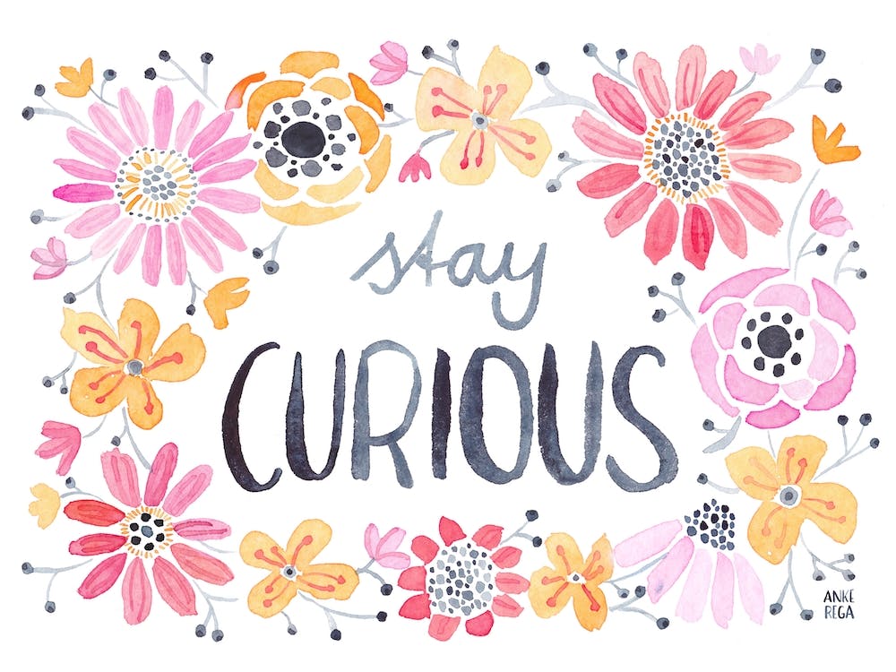 Stay Curious