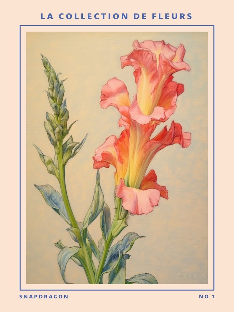 Löwenmäulchen Französische Blume Botanisches Poster