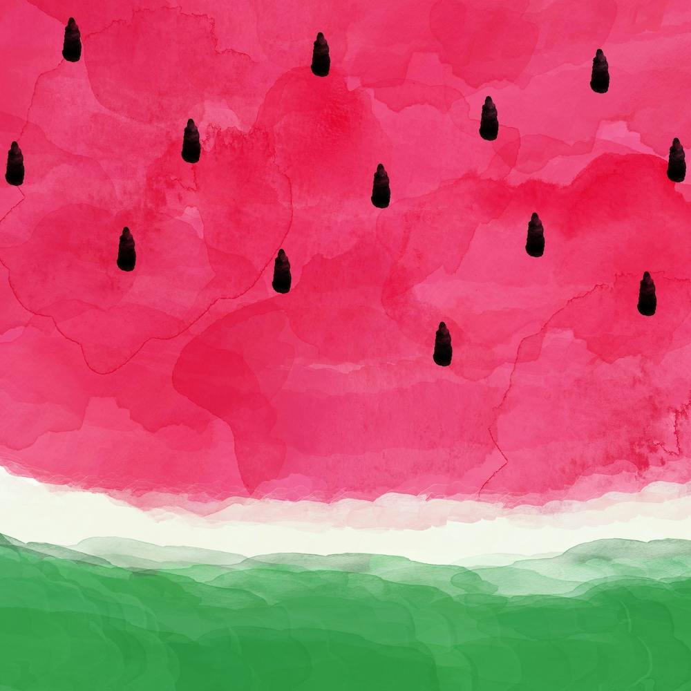 Watermelon Abstract Square