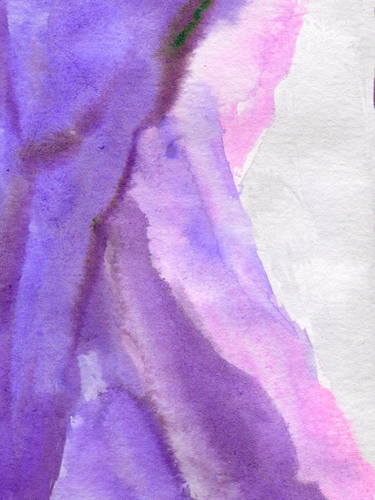 Purple Lilies 1