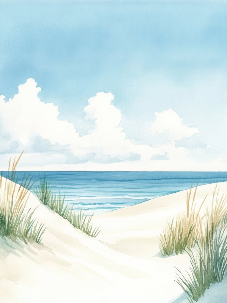 Sand Dunes On The Beach