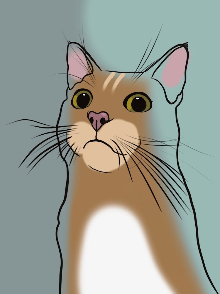 Cat Portrait