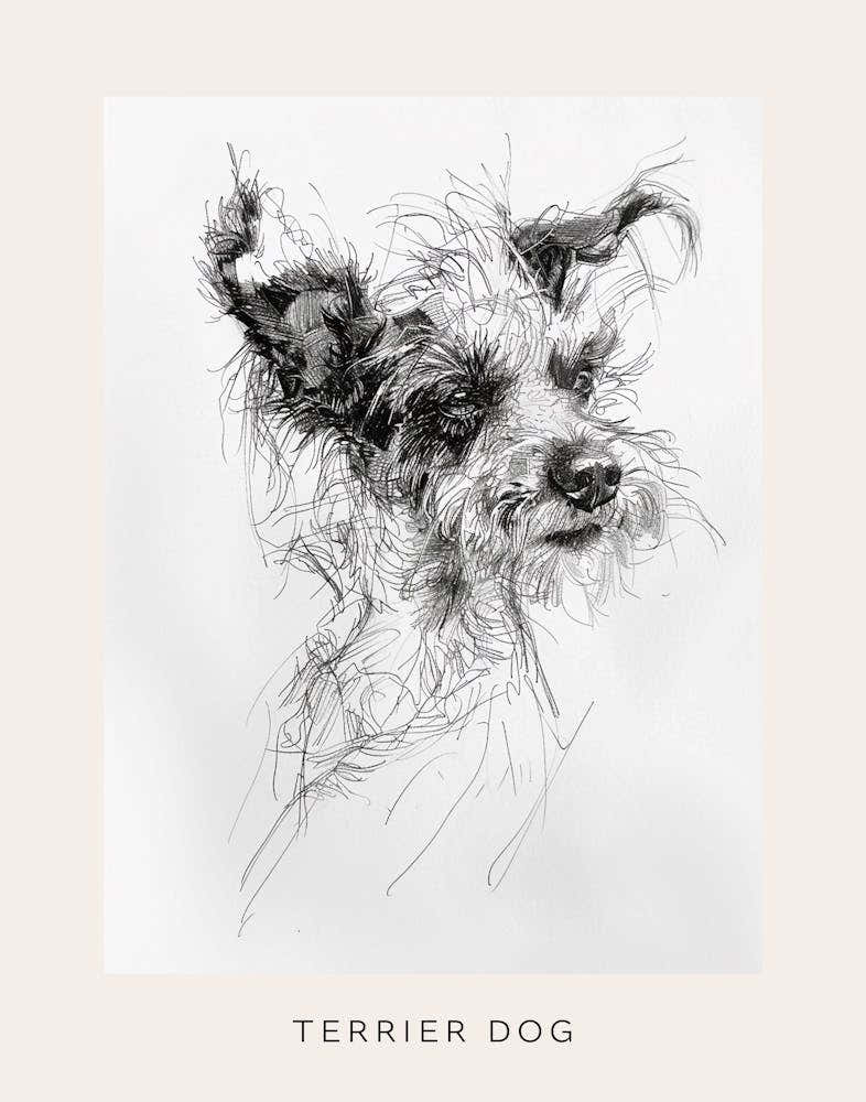 Wired Hair Terrier Dog Line Sketch 2 Poster