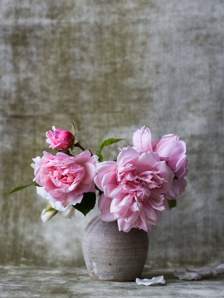 Mini Pink Peony Flower Bouquet In Gray Vase