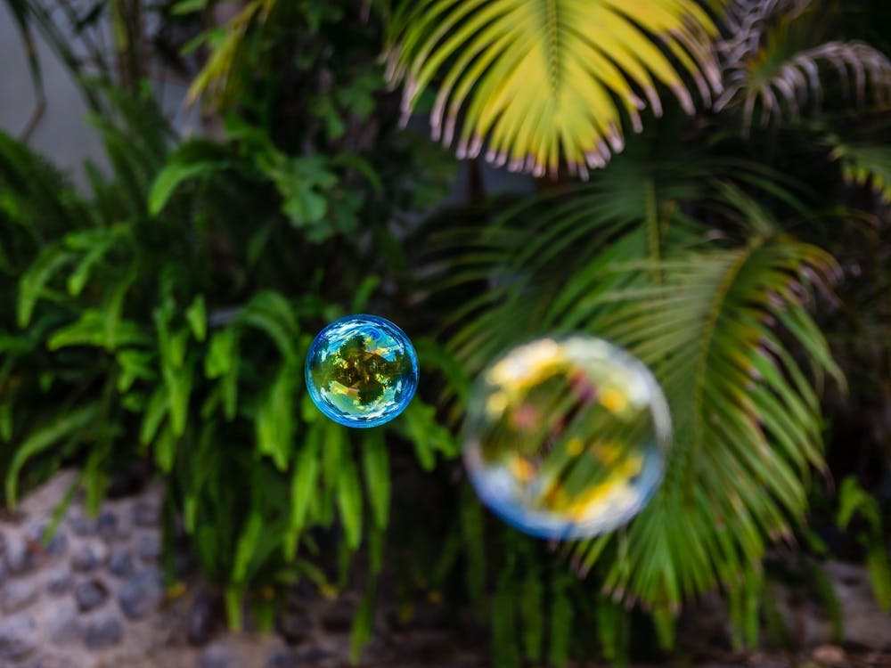 Soap Bubbles Fly In The Garden 1