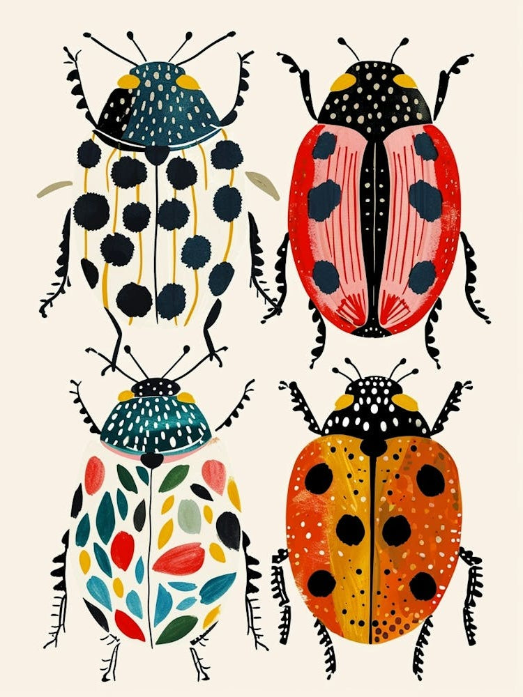 Colourful Insect Illustration Ladybug 4