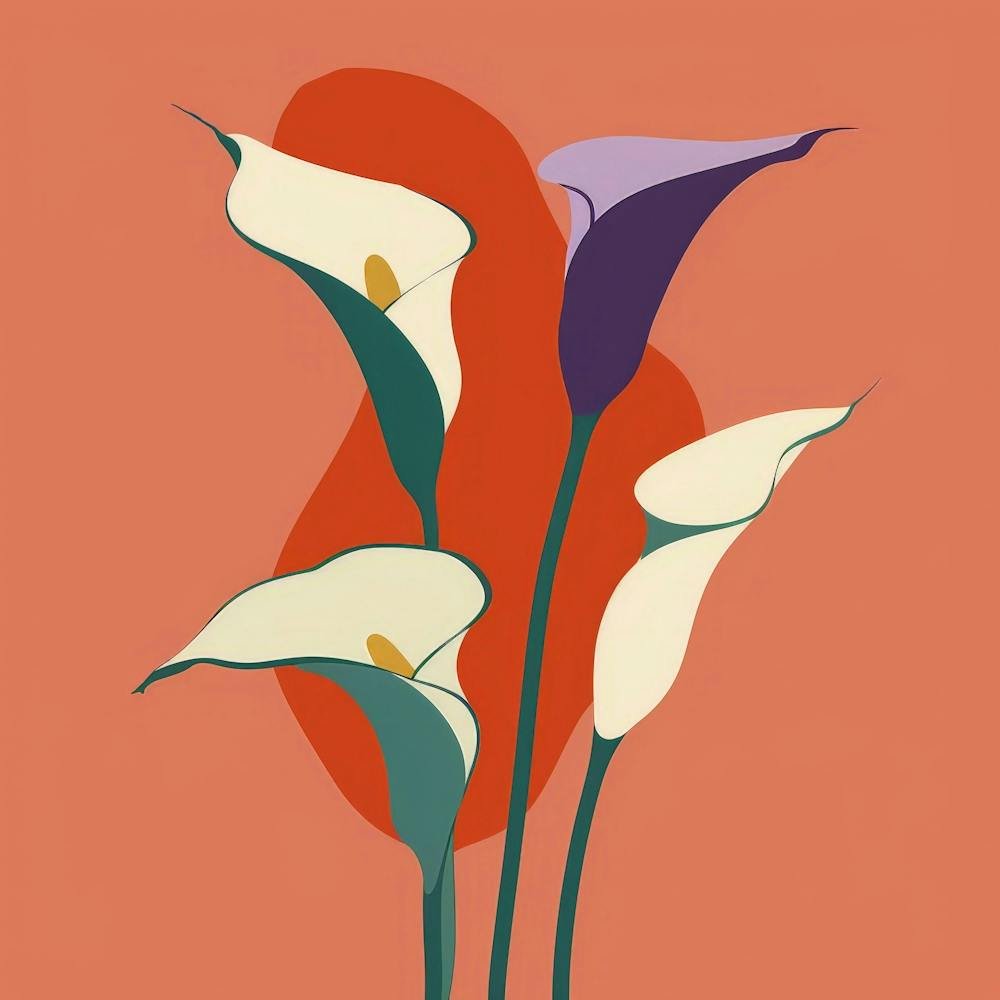 Calla Lily 4