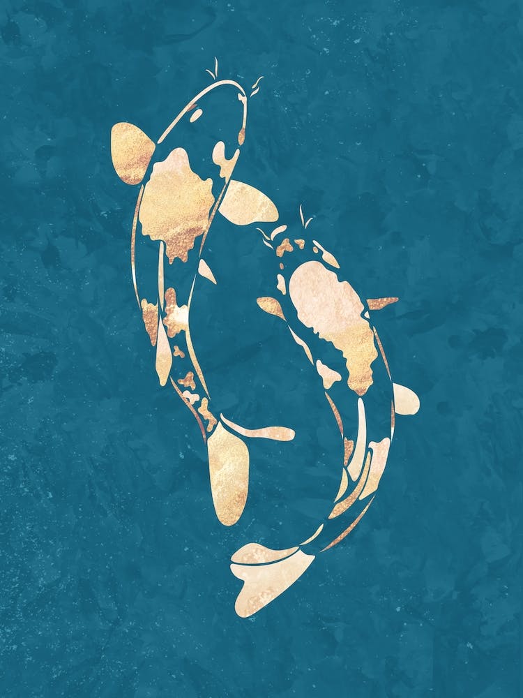 Koi Fish Canvas Print