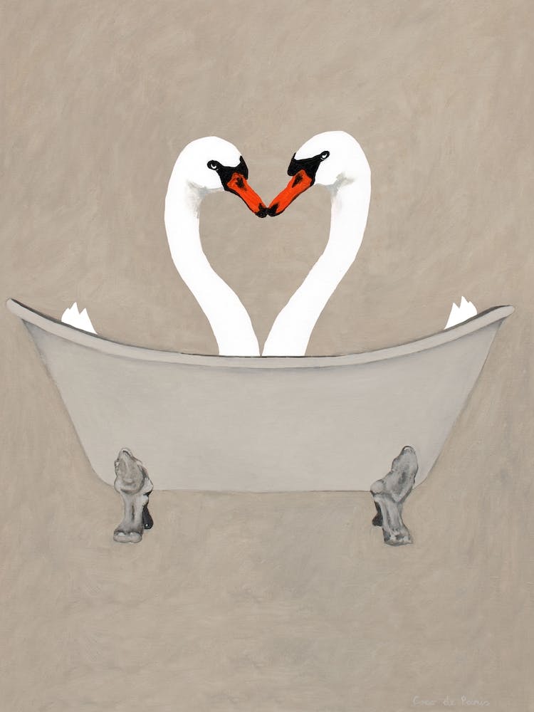Swans In Bathtub