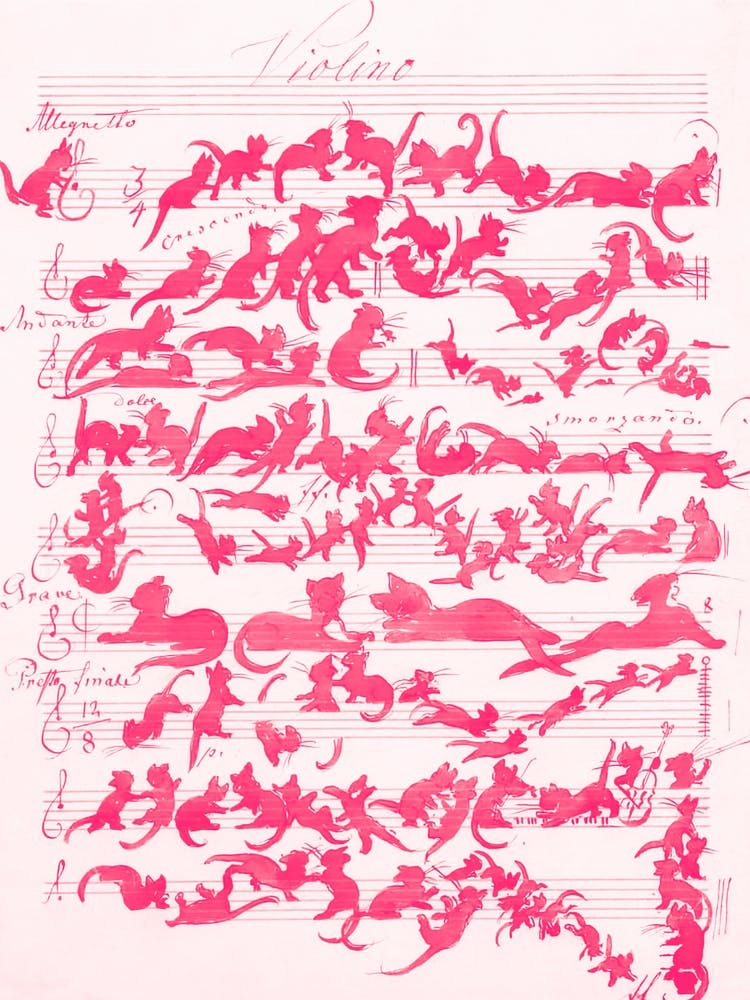 Cat Symphony Pink