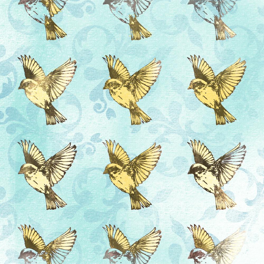 Birds pattern, animals, illustration, wall art