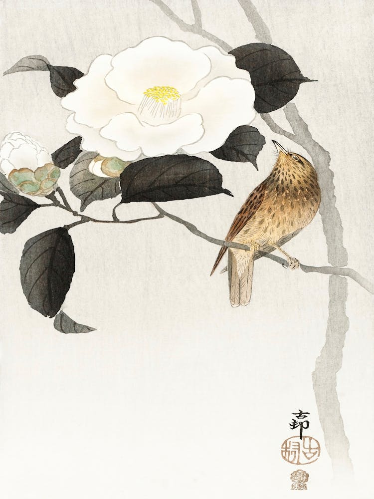 Songbird And Flowering Camellia (1900 1910), Ohara Koson