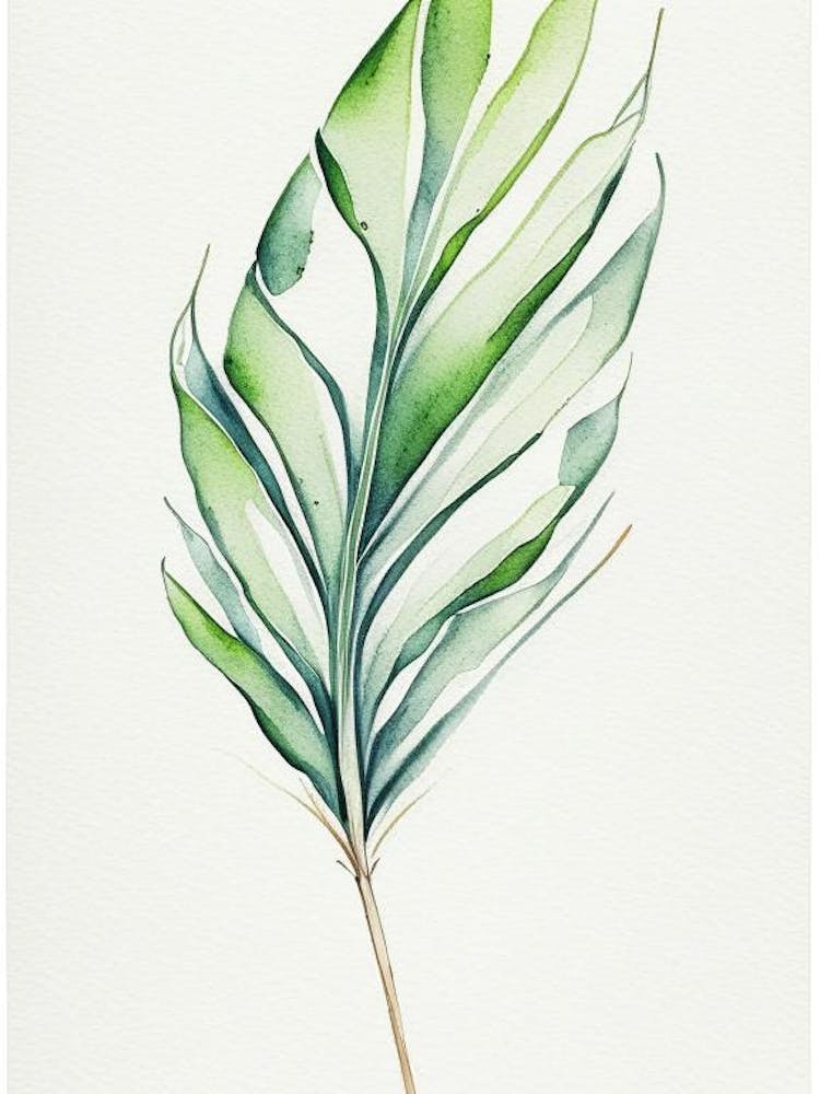 Yucca-Blatt Minimalistische Aquarell 3
