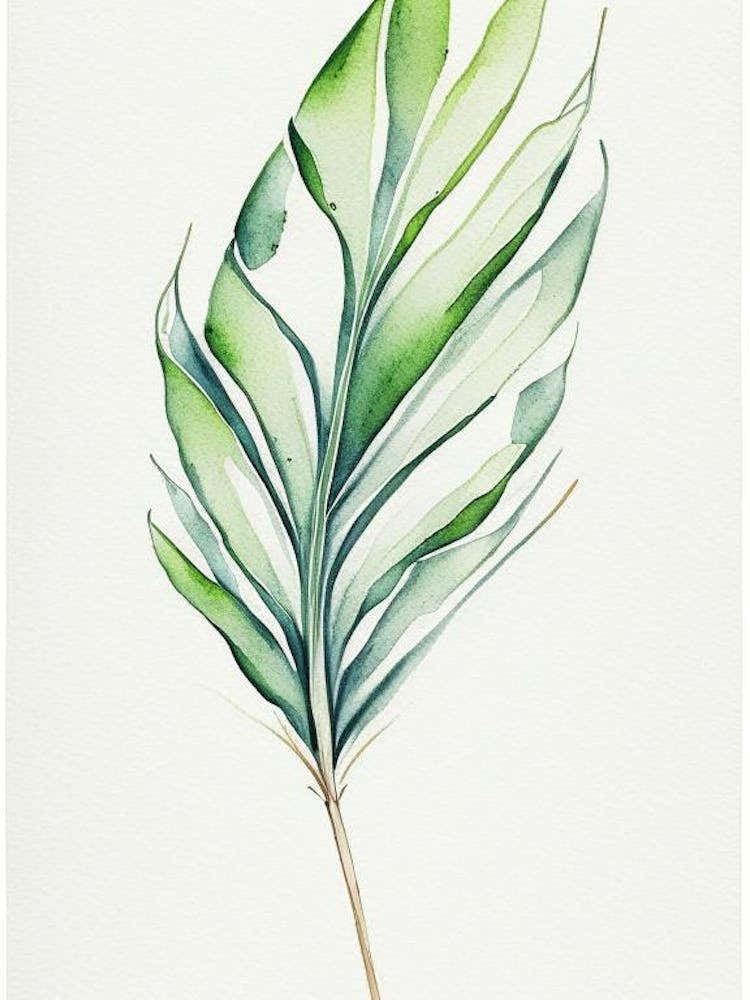 Yucca Leaf Minimalist Watercolour 3