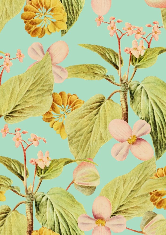 Vintage Summer In