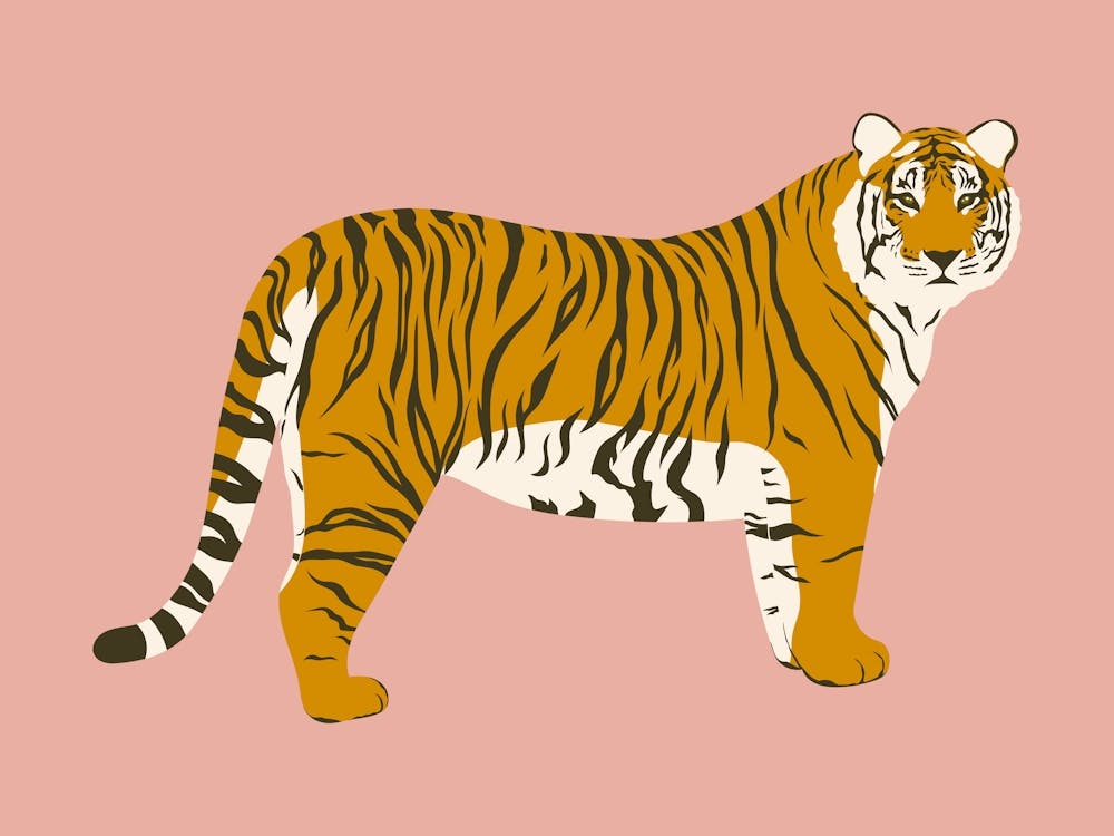 Tiger - Pink
